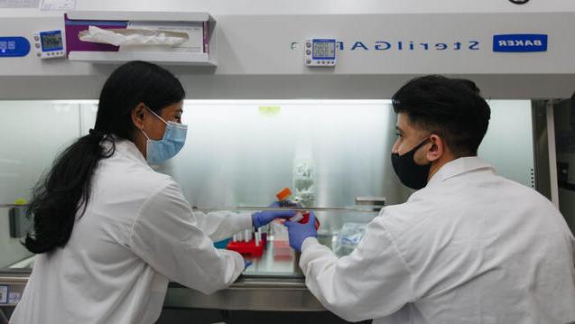 Lab associate hands chemical solution to another lab associate under the protective glass of a biosafety cabinet